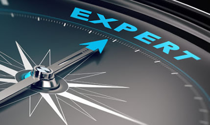 Experience